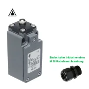 WTS - Endschalter mit Stößel Metall Sprungkontakt 1S + 1Ö, Wassergeschützt - Schutzart IP 67